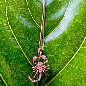 Scorpion Rose Gold Necklace - 18k Plating